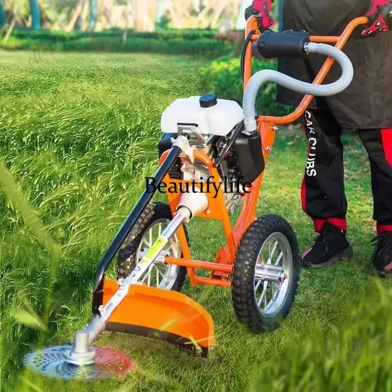 L178 Lawn mower hand push lawn - đánh giá và giá Power Tools Garden