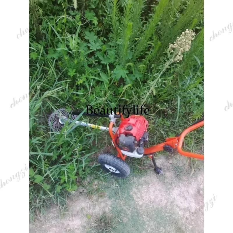 L178 Lawn mower hand push lawn - đánh giá và giá Power Tools Garden